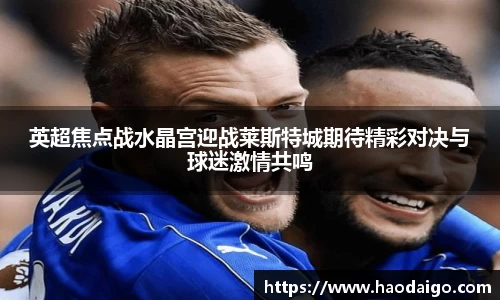 英超焦点战水晶宫迎战莱斯特城期待精彩对决与球迷激情共鸣