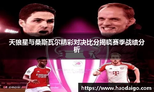 天狼星与桑斯瓦尔精彩对决比分揭晓赛季战绩分析