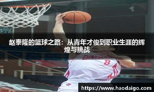 赵泰隆的篮球之路：从青年才俊到职业生涯的辉煌与挑战
